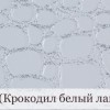 Фото книги СТАНДАРТ с полиграфической или кожаной обложкой и форзацами