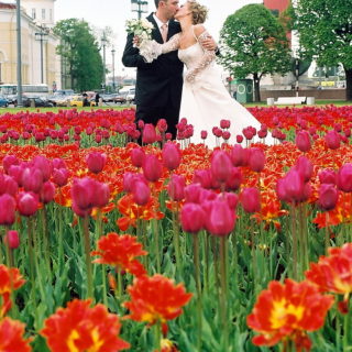 Свадьба отснятая на фотоплёнку в 2003 году молодожёны в тюльпанах