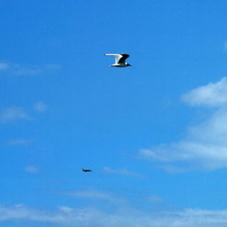 Самолеты - авиасалон. Санкт-Петербург Самолеты - авиасалон. Санкт-Петербург