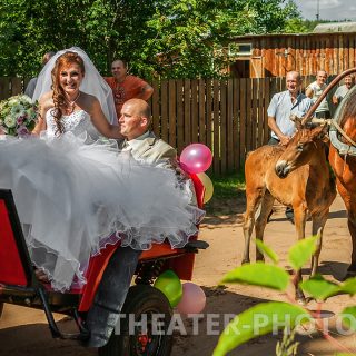 Свадьба в деревне. Выкуп