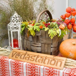 ФЕСТИВАЛЬ «СИЛА БЕРЕГИНИ»