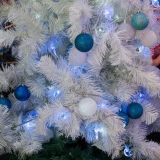 Фестиваль мастер-классов: "Начать легко!" ТРК "Питерленд" Фестиваль мастер-классов: "Начать легко!" ТРК "Питерленд"