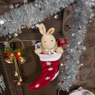 Праздник Шоколада, FREEDOM PALACE!