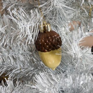 Праздник Шоколада, FREEDOM PALACE!