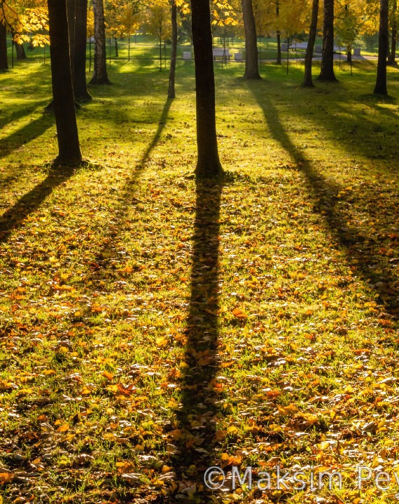 Крестовский остров