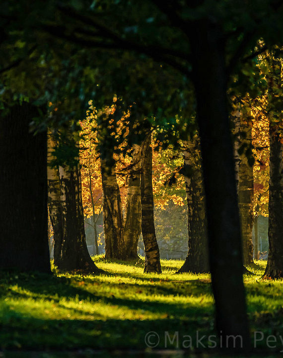 Крестовский остров
