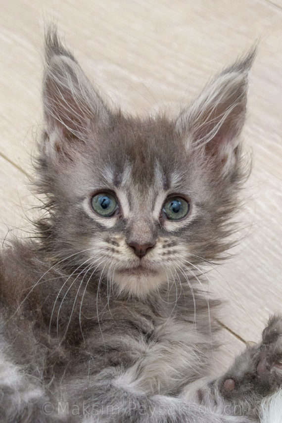 Голубой мрамор