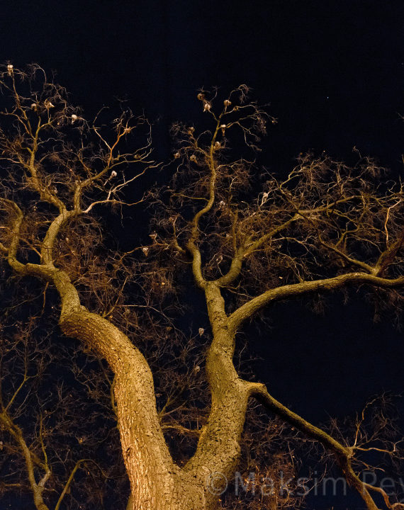 Ночной город